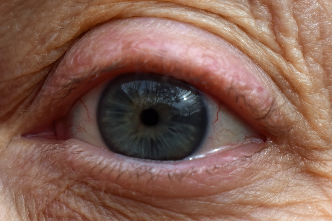 eye, human eye, iris-7786489.jpg